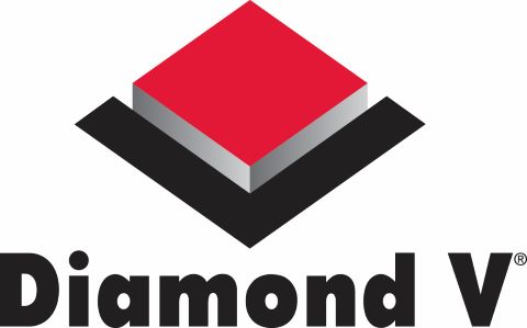 Diamond V logo